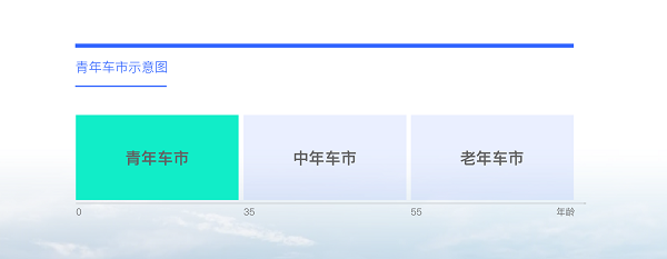 小米进军汽车行业案例分析_小米涉足汽车_小米汽车如何吸引年轻消费者的关注？