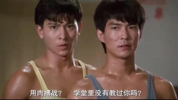 刘德华的动作片与武打表演_刘德华演的武打电影_刘德华武打电影片