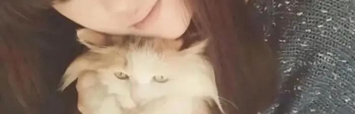 陈奕迅_陈奕迅最好听的十首歌_陈奕迅歌曲