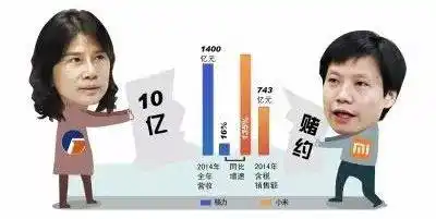分析雷军_雷军与行业发展趋势的较量_雷军谈未来的发展