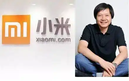 分析雷军_雷军与行业发展趋势的较量_雷军谈未来的发展