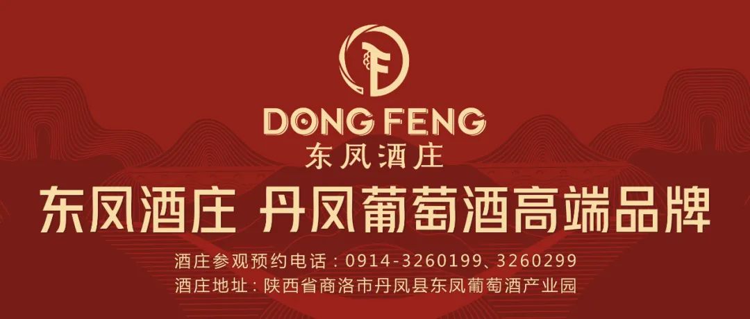 tokneim钱包最新下载丹凤县人民政府办公室印发夜间经济发展实施方案(2023年8月14日)