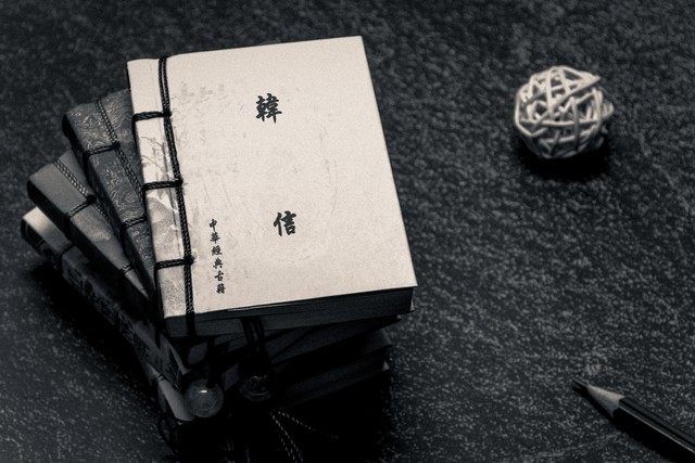 韩信性格特征_韩信的性格优劣之处_韩信的个人性格与领导风格