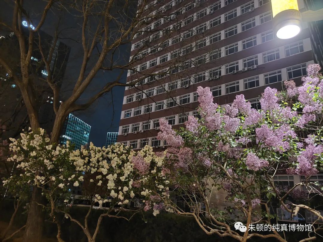 张国荣心理问题_张国荣心理学分析_探索张国荣的心理世界