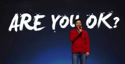 雷军的成功秘诀：创新与执着_雷军成功的秘诀是什么_雷军创新创业成功案例
