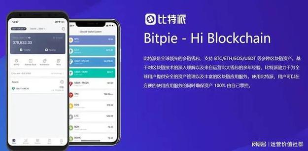 TokenPocket安卓版官网下载：守护数字资产安全的关键要点