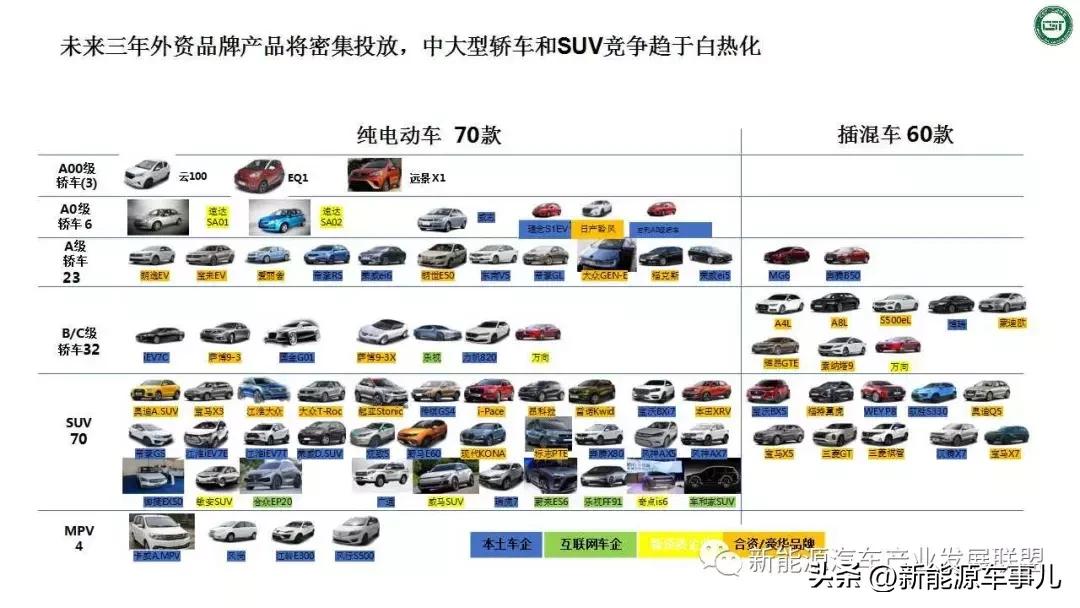 新能源汽车市场的多元化竞争与挑战_多元化能源结构_能源多元化的发展战略