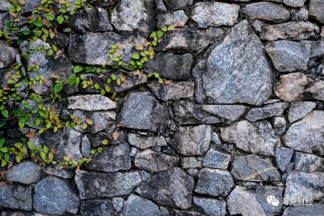 黄峥领导方式_团队领导风格类型_黄峥的领导风格与团队管理