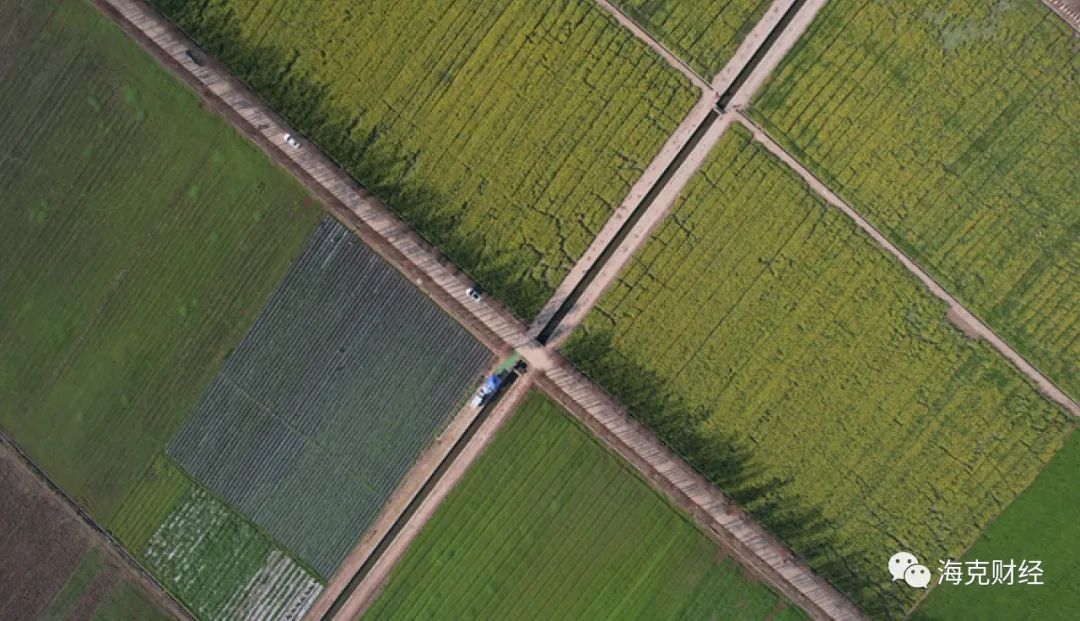 黄峥领导方式_团队领导风格类型_黄峥的领导风格与团队管理