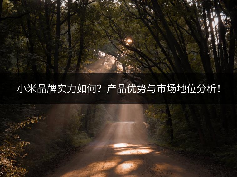 小米品牌实力提升的四大关键因素：技术创新、高性价比、市场多元化和高端化转型
