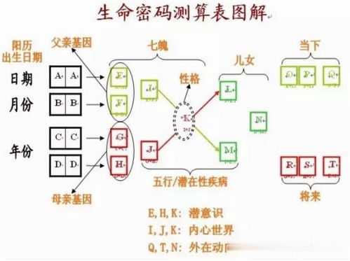 2025年数字能量运势解析：把握数字化时代的机遇与挑战