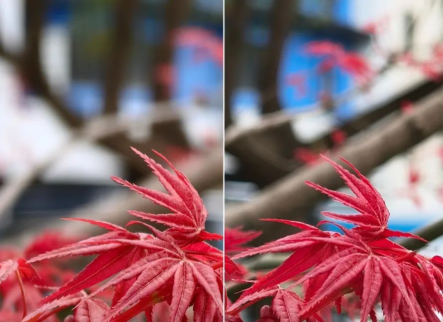 华为的图像处理技术：惊艳你的摄影体验_华为专业摄影_华为目前主流的图像处理技术