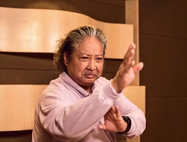 元彪武打电影国语版_元彪的武术训练与日常生活_武术指导元斌