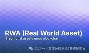 全球资产管理系统_USDT的全球资产管理模式与挑战_全球资产管理中心建设