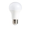 飞利浦（PHILIPS）米家智能LED灯泡智睿E27大螺口6.5W 无级调光调色wifi无线控制 E27大口智睿球泡