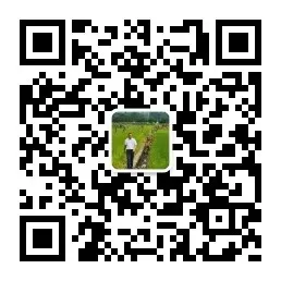 商文旅教专业服务业态跨界学习：胖东来模式能否被复制与持续改善？