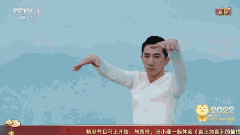 张雨绮的台词_张雨绮的经典对话与精彩瞬间_张雨绮讲话视频