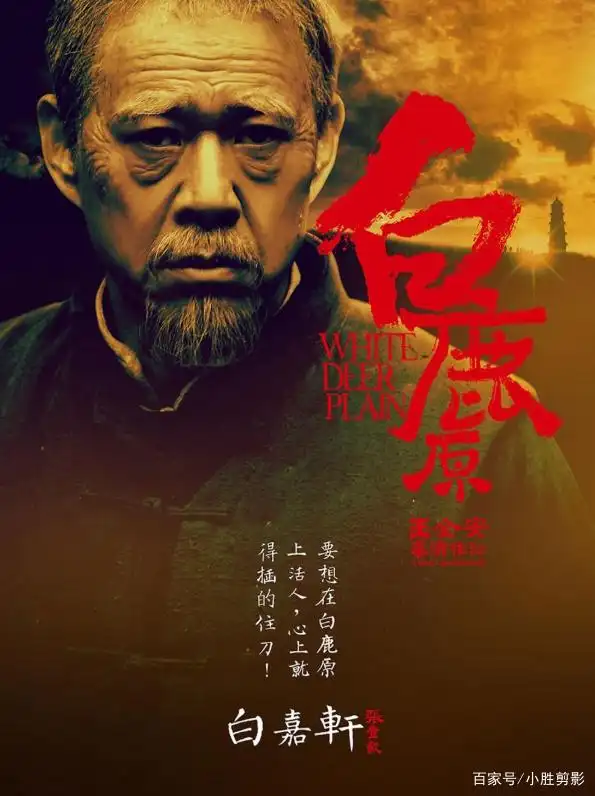 张雨绮的爱情故事与情感生活_张雨绮爱情史_张雨绮的爱情电影