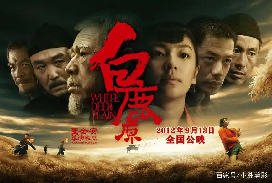 张雨绮的爱情电影_张雨绮爱情史_张雨绮的爱情故事与情感生活